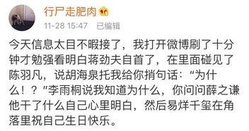 吃瓜视频最全观看今日最新,揭秘今日最新热点事件全解析